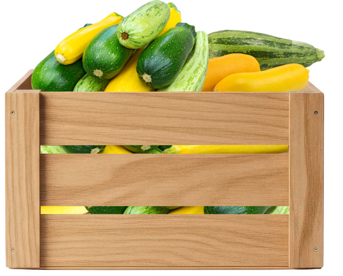 Squash in a crate
