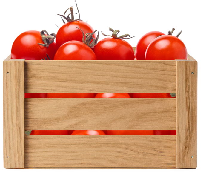Tomatoes in a crate